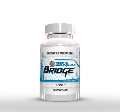 BRIDGE™